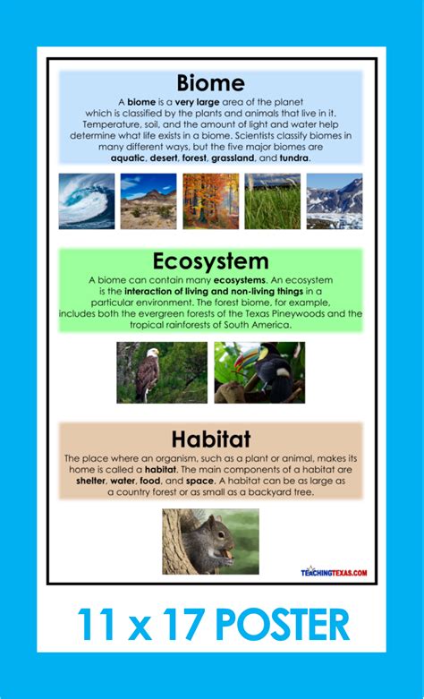 Difference Between Biome And Ecosystem