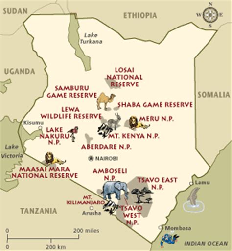 Beyond Adventure: 11 Day Kenya Safari