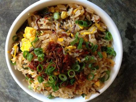 Mealworm Fried Rice Recipe - Food.com