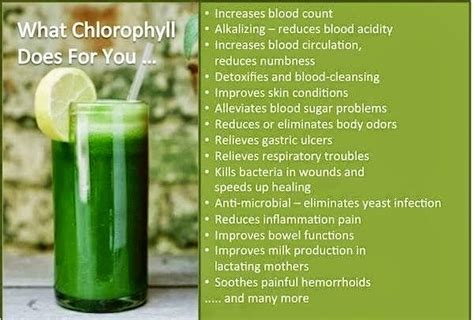 #Chlorophyll benefits | Juicing for health, Chlorophyll, Chlorophyll benefits