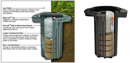 Best Termite Bait Stations: How Effective Are They? if(typeof __ez_fad ...