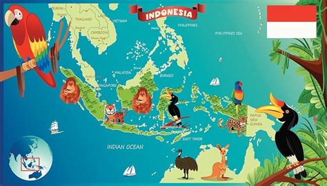 Peta Persebaran Flora Dan Fauna Di Indonesia Materi Geografi Kelas ...