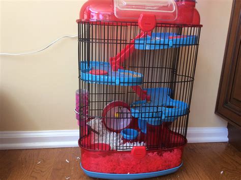 containment - Is my hamster's (fancy dwarf) cage too small? - Pets ...