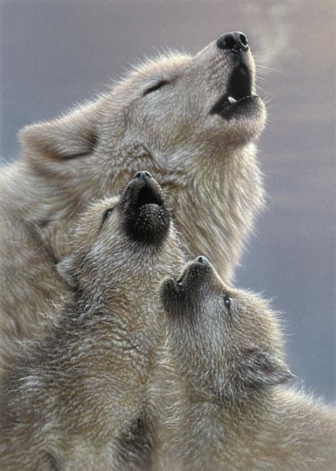 White Wolf Pups Howling