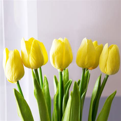 Free photo: Yellow Tulip - Art, Bloom, Blooming - Free Download - Jooinn