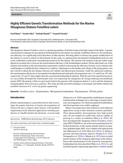 Highly Efficient Genetic Transformation Methods for the Marine ...