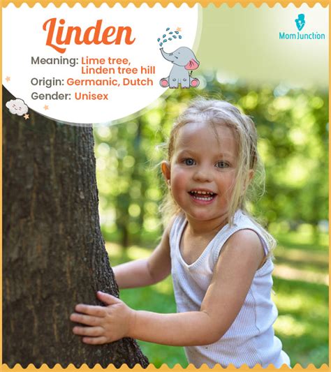 Linden Name Meaning, Origin, History, And Popularity | MomJunction