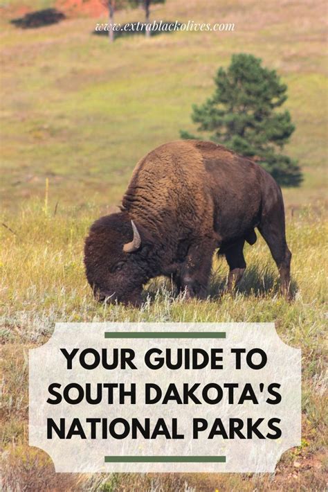 Your guide to the South Dakota National Parks - Extra Black Olives