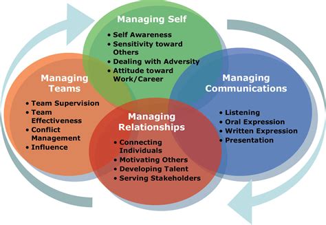 It Management: It Management Skills