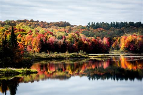 NY fall foliage 2021: Leaf peeping across the Empire State