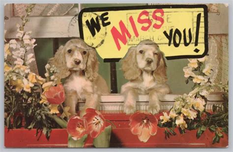 ANIMAL~DOGS~SPANIEL LOOKING THROUGH Window~Flowers~We Miss You~Vintage Postcard $3.00 - PicClick