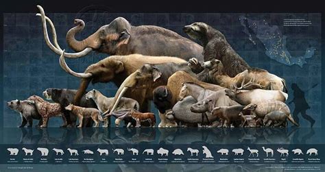 Mid-American prehistoric megafauna. | Natural History. | Pinterest | Mexico, Names and Prehistoric