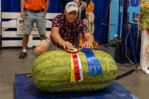 Biggest pumpkin, watermelon grown in Kentucky crowned at State Fair ...