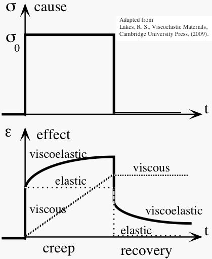 viscoelastic – Liberal Dictionary