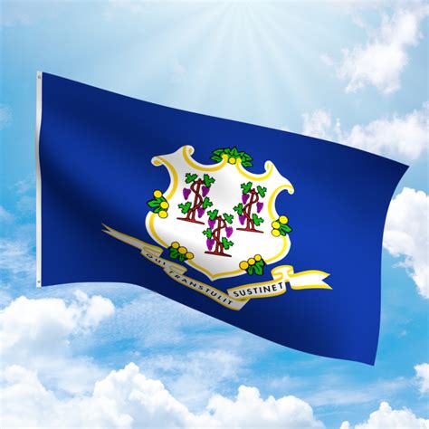 CONNECTICUT NYLON FLAG