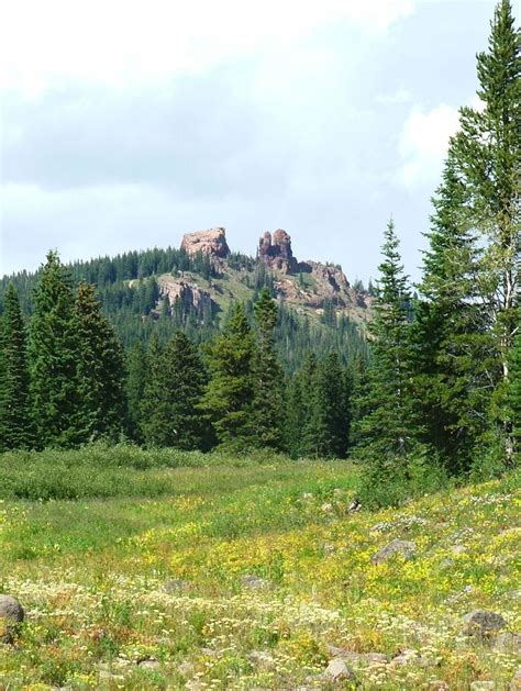 Rabbit Ears Pass, CO | Steamboat springs, National parks, Trip