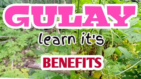 Gulay For Life|Health Benefits|Ampalaya|Tomatoes|Pechay|Sitaw|Okra|Eggplant|Emmie Torres - YouTube