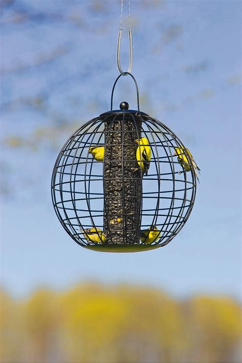 Globe Cage Birdfeeder | Buy from Gardener's Supply $26.95 | Caged bird feeders, Bird feeders ...