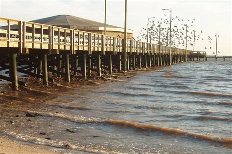 Palacios (Matagorda County) – Great Texas Land Rush