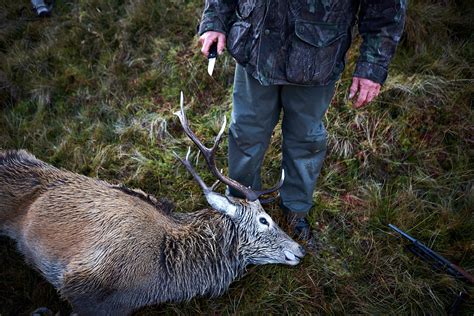 About - Trophy Whitetail Hunts