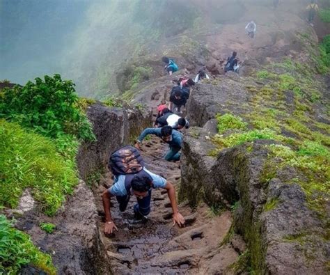 Harihar Fort Night Trek - Upto Rs150 Off | Trekhievers