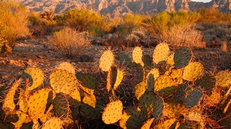 Oro Valley Vacation Rentals, Tucson: homes, house rentals & more | Vrbo