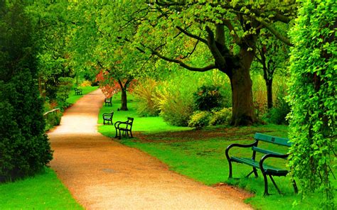 Green_park_trees_nature_beautiful_day_hd-wallpaper-1871-1920x1200 ...