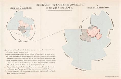 From the Battlefield to Basketball: A Data Visualization Journey with ...