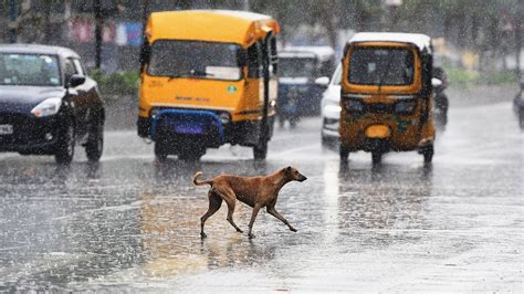 Chennai In for Thunderstorms, Lightning Till Tuesday | Weather.com