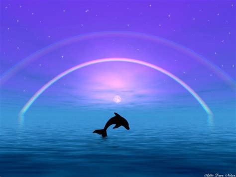 Cute Dolphin Wallpapers - Wallpaper Cave