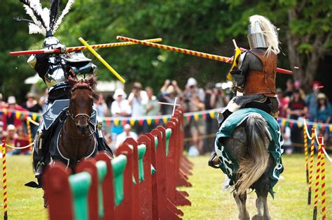 Surely you Joust | New Zealand Geographic