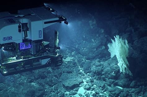 The next frontier of ecosystem restoration: the deep sea