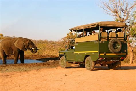 TripAdvisor | Safari guiado de 2 dias pelo Kruger Park de Joanesburgo: experiência oferecida por ...