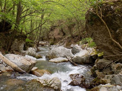 Rogačica, Zarožje, Sava Savanović's Mill - Explore Serbia