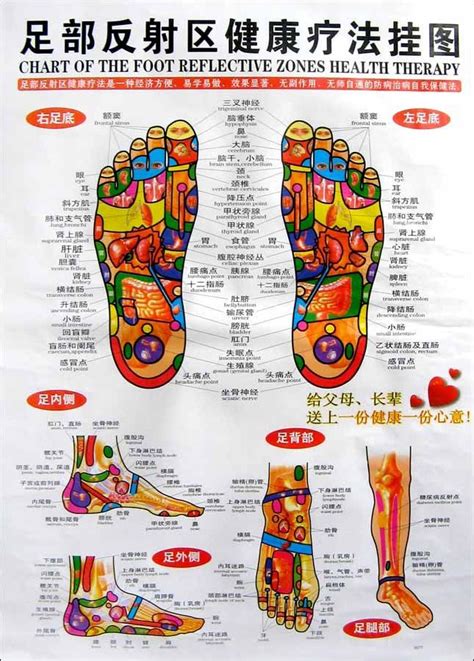 massage mattress Picture - More Detailed Picture about CHINESE ENGLISH CHART FOOT REFLECTIVE ...