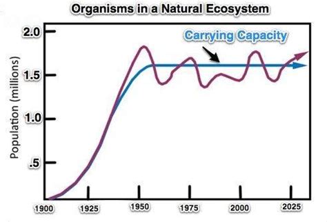 The graph represents a typical carrying capacity graph, or the maximum population size a certain ...