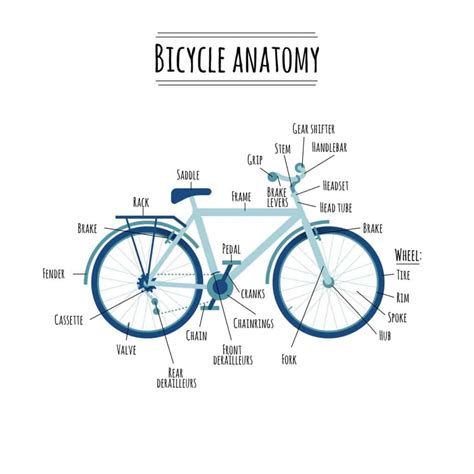 Bicycle Parts Names Diagram