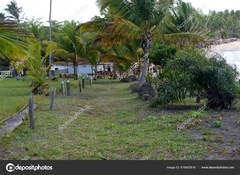 Brazil Bahia September 2023 Beautiful Beaches Clean Water Sea Bathing ...