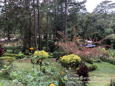 Botanical Garden, Baguio city | Live Life and Love