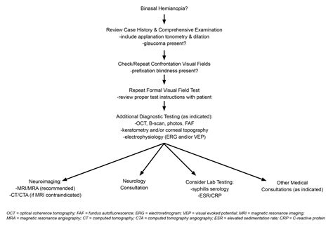 Binasal Hemianopia: an Observational Teaching Case Report and Review of a Rare Visual Field ...