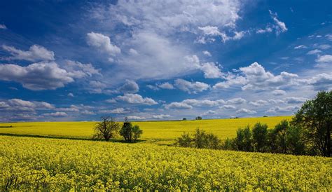 Photo of The Week 18th May 2020 2nd Place Beautiful spring weather near Stuttgart in Germany by ...