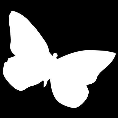 White Butterfly Free Stock Photo - Public Domain Pictures