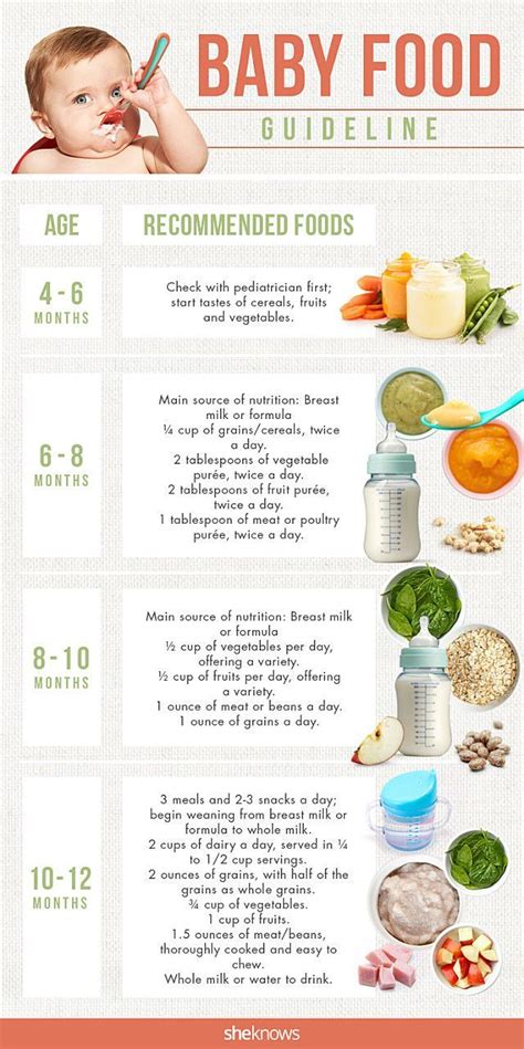 Baby food guide More: Baby Food Guide, Baby Food Recipes, Food Baby, Baby Food Schedule, 6 Month ...