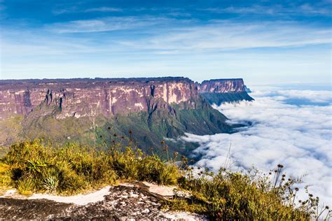 The mystical summit of Mount Roraima between Venezuela, Brazil and Guyana: | Mount roraima ...