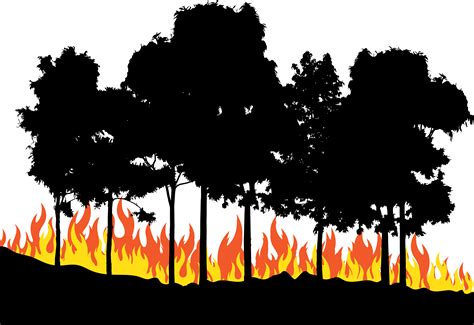 Fire Euclidean vector - Fire in the woods png download - 5833*4004 ...