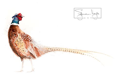 Pheasant Watercolor Painting Watercolour - Hand Signed Limited Edition Print of my Original ...