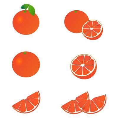 Grapefruit Vector Art, Icons, and Graphics for Free Download