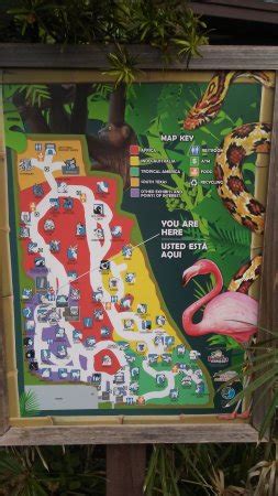 Gladys Porter Zoo Map - Vector U S Map