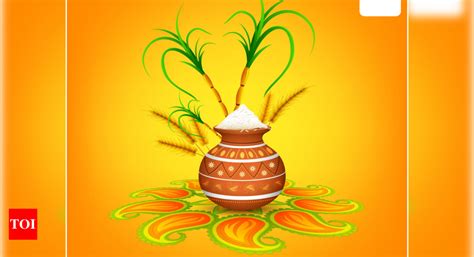 Happy Pongal 2024: 10 Beautiful Pongal Kolam Designs for Home - Times ...