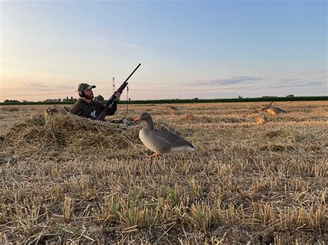 Layout blind wetland camouflage - Lokganzen -goosehunting